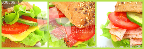 Image of Collage of many different fresh sandwichs