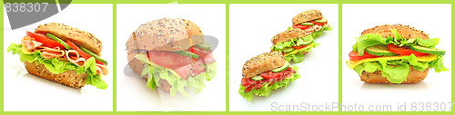 Image of Collage of many different fresh sandwichs