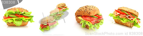 Image of Collage of many different fresh sandwichs