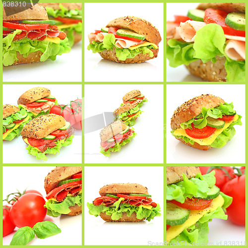 Image of Collage of many different fresh sandwichs