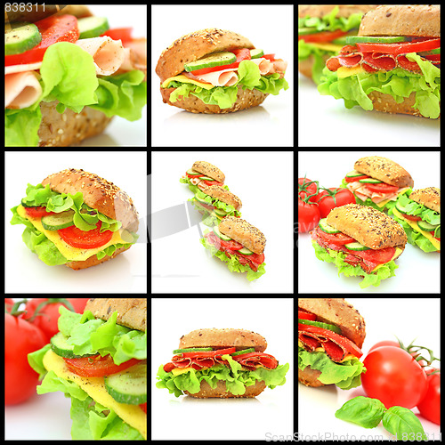 Image of Collage of many different fresh sandwichs
