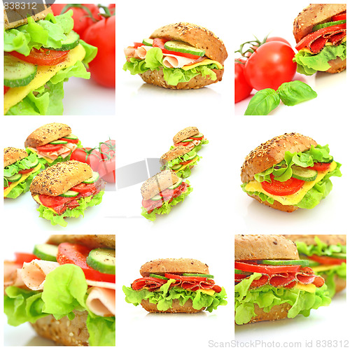 Image of Collage of many different fresh sandwichs