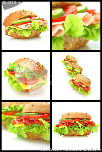 Image of Collage of many different fresh sandwichs