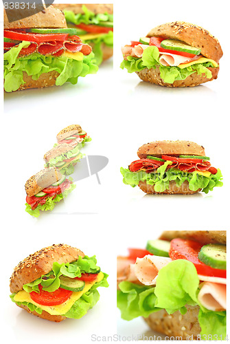 Image of Collage of many different fresh sandwichs