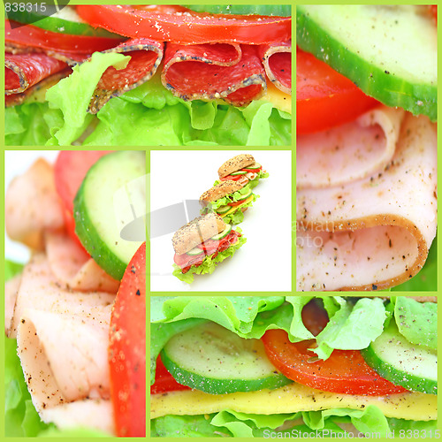 Image of Collage of many different fresh sandwichs