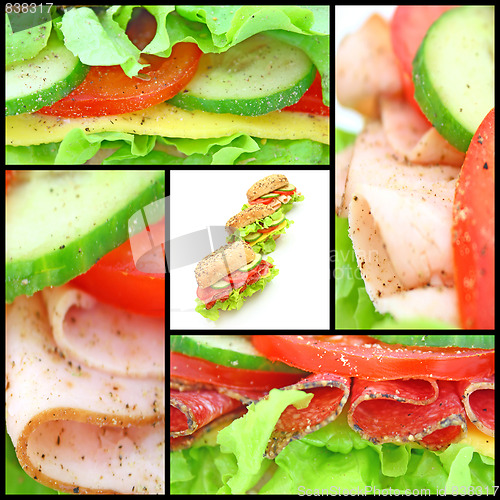 Image of Collage of many different fresh sandwichs