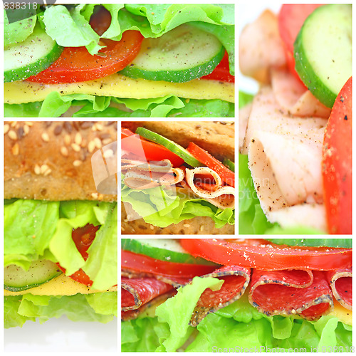 Image of Collage of many different fresh sandwichs