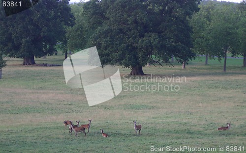 Image of evening in summer