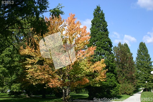 Image of part of park