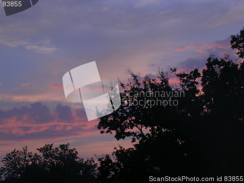 Image of Pink sunrise