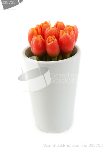 Image of Glass with tulip in the manner of candles