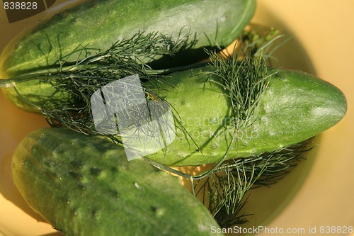 Image of cucumber