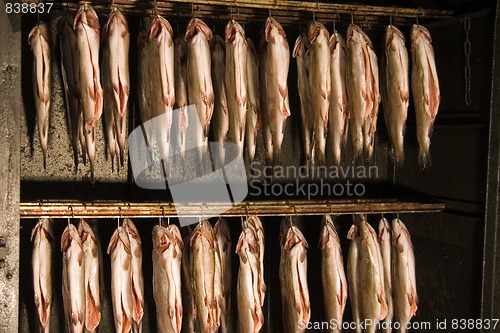 Image of smoked trout