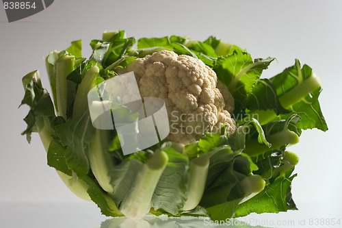 Image of cauliflower