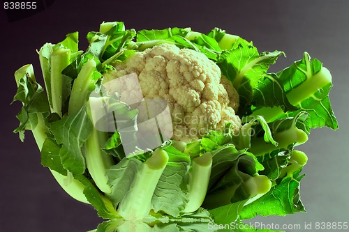 Image of cauliflower