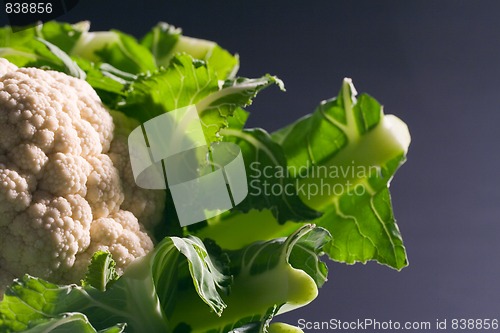 Image of cauliflower