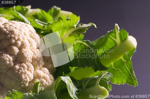 Image of cauliflower