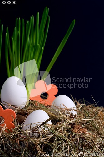 Image of easter decoration