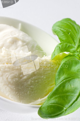 Image of fresh mozzarella