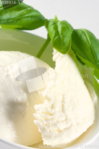 Image of fresh mozzarella