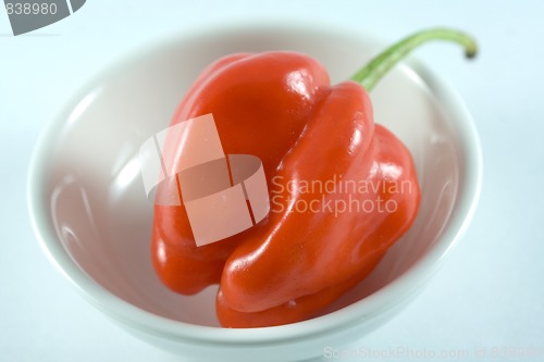 Image of Habanero chillie on a white plate
