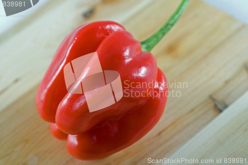 Image of Habanero chillie on juniper wood chopping board
