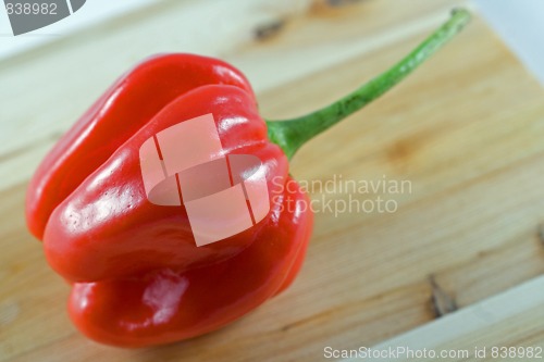 Image of Habanero chillie on juniper wood chopping board