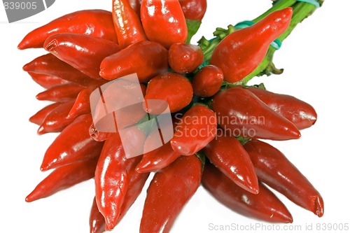 Image of Bunch of fresh red chillies on white