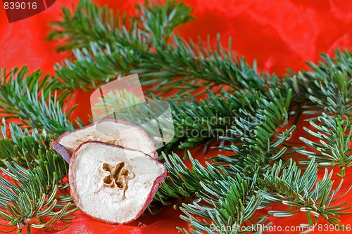 Image of christmas