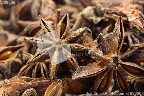 Image of anise