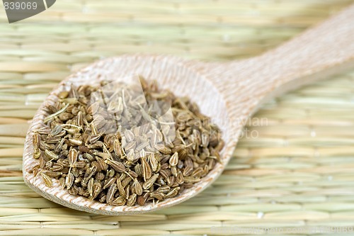 Image of aniseed