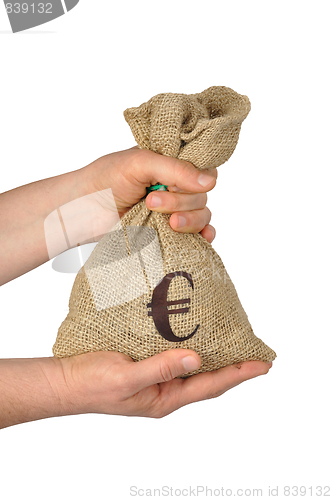 Image of Euro Bag