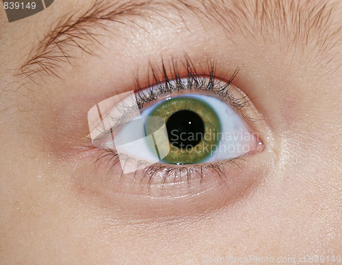 Image of green eye