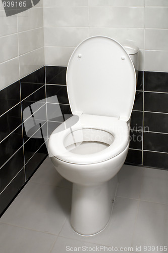 Image of Toilet bowl