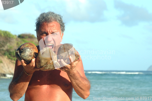 Image of eating coconuts 516