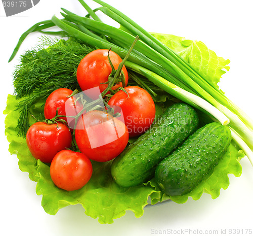 Image of Fresh vegetable