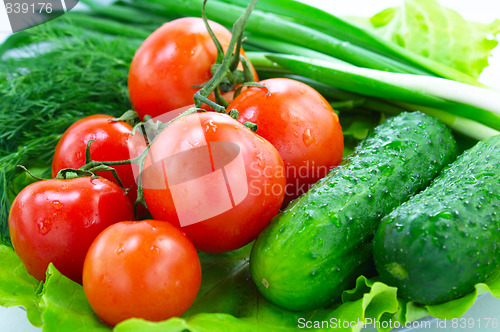 Image of Fresh vegetable