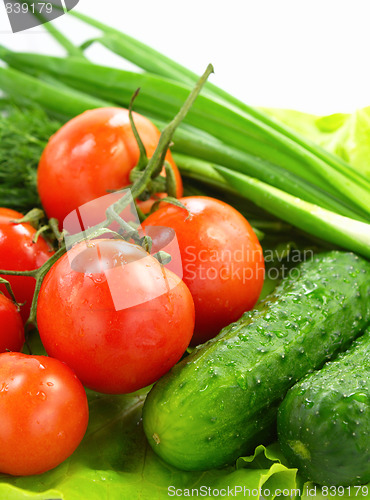 Image of Fresh vegetable