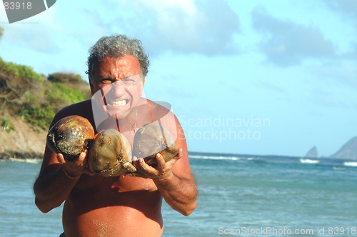 Image of WITH  coconuts 519