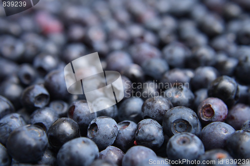 Image of blueberries background