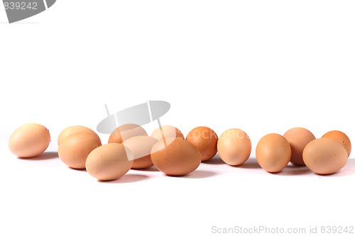 Image of fresh eggs