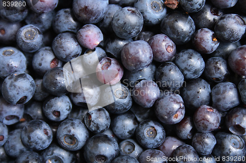 Image of blueberries background