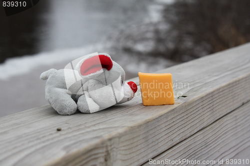 Image of A mouse and his cheese.
