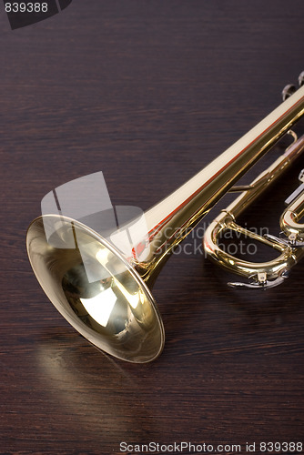 Image of trumpet