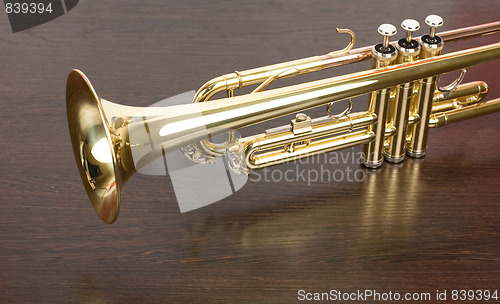 Image of trumpet