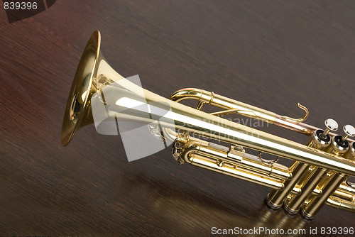 Image of trumpet