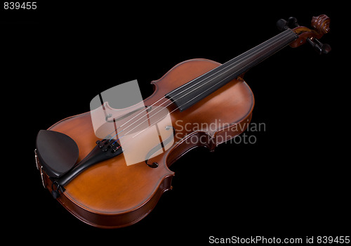 Image of classic violin