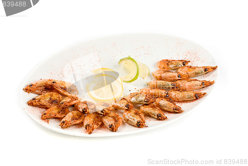 Image of shrimps