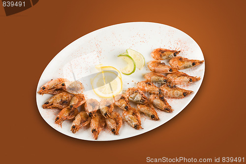 Image of shrimps