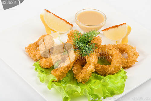 Image of squid